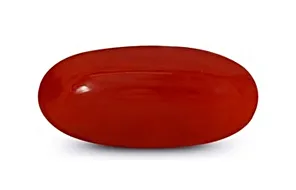 Red Coral